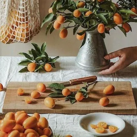 Leone Old Town * Corfu (city)